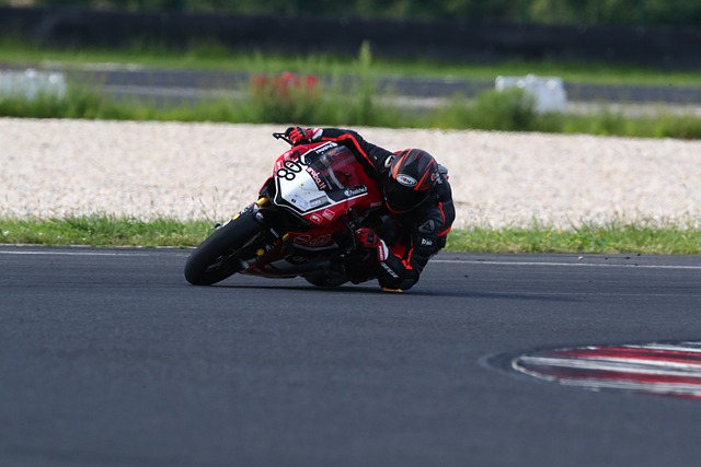 才培养的多 才培养的多